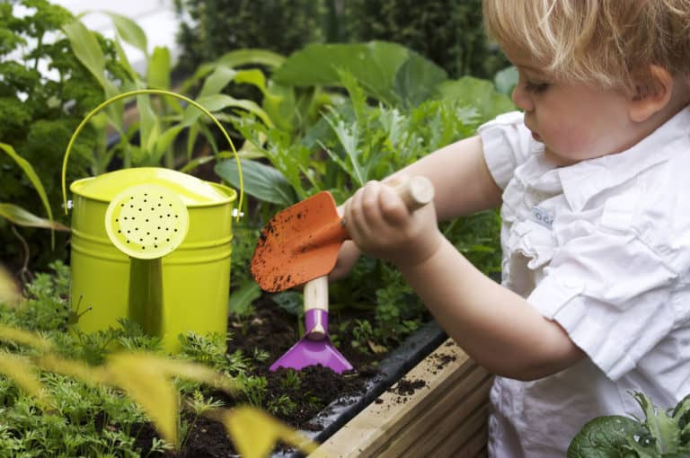Garden Safety Guide for Parents