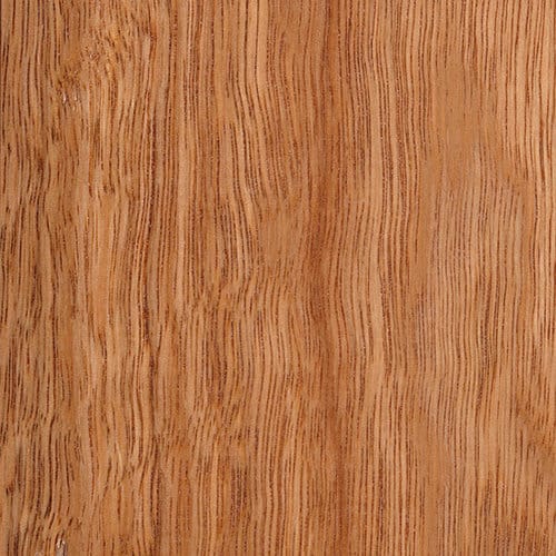 spotted gum