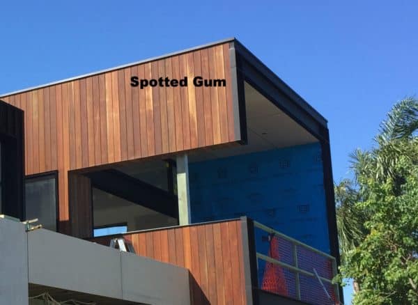 spotted gum cladding