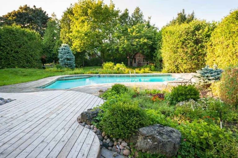 Guide to Deck Costs: How Much Does Building a Deck Cost?